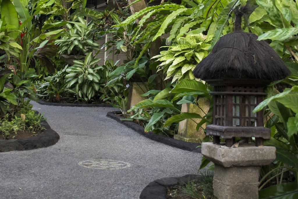 Flamboyan Guest house