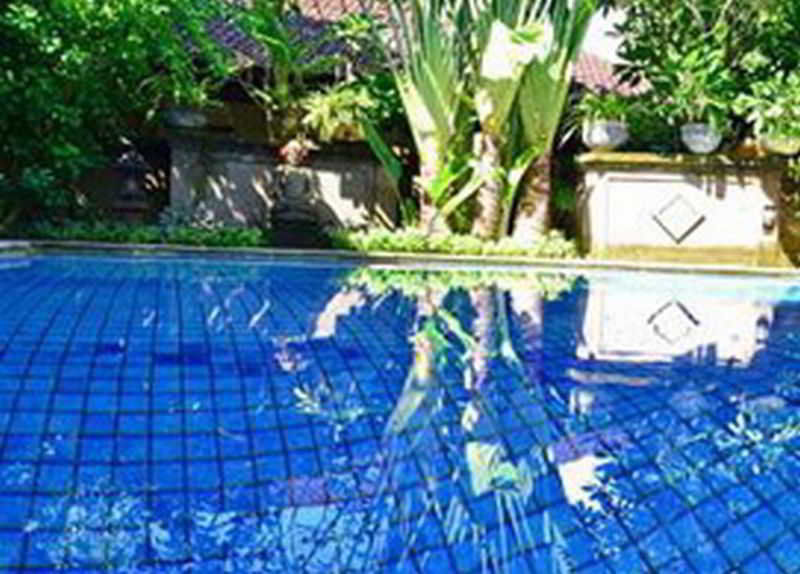 Guest house Flamboyan 2*