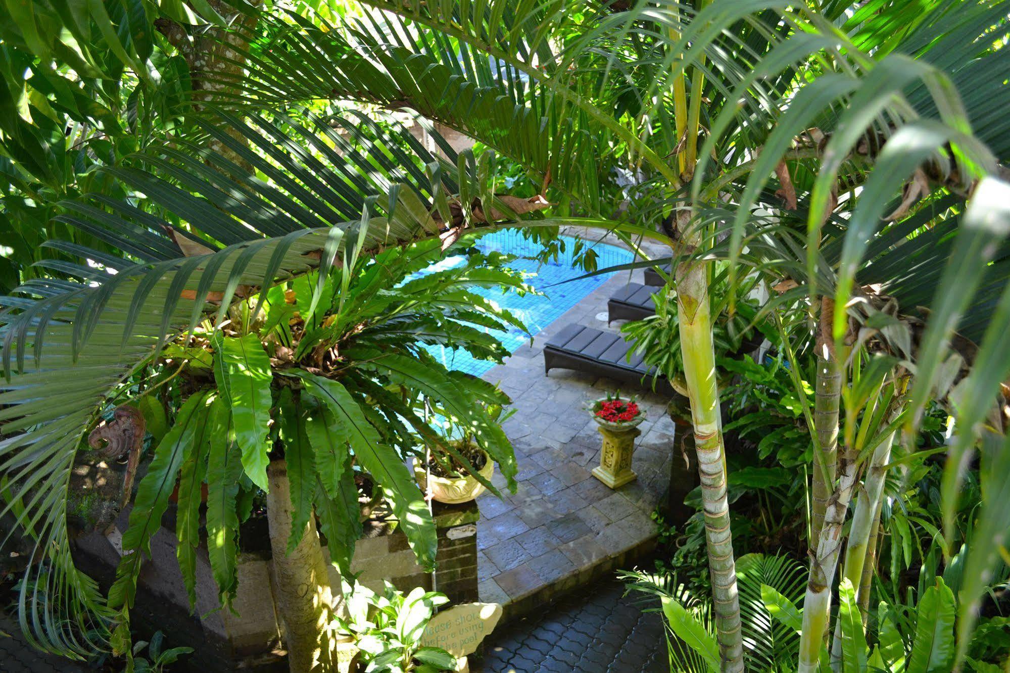 Flamboyan